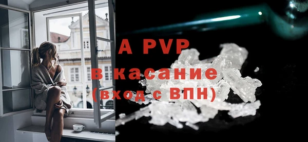 шишки Горняк
