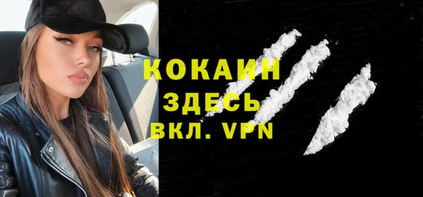 шишки Горняк