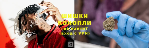 шишки Горняк