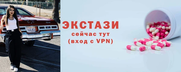 шишки Горняк