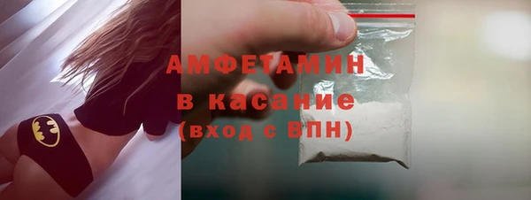 шишки Горняк