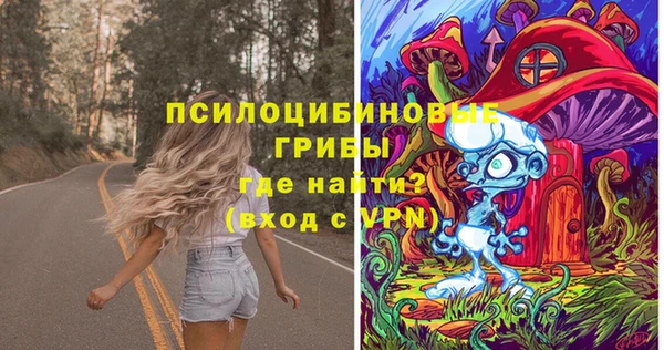 шишки Горняк