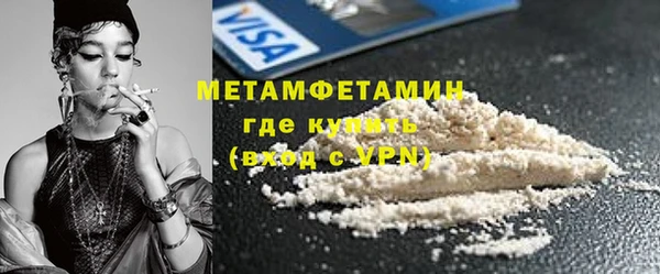 шишки Горняк