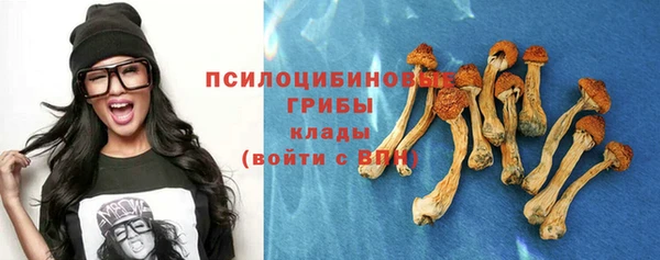 шишки Горняк