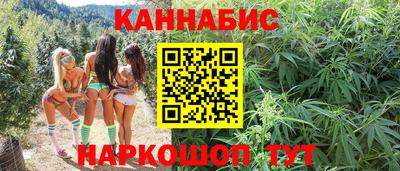 индика Аргун