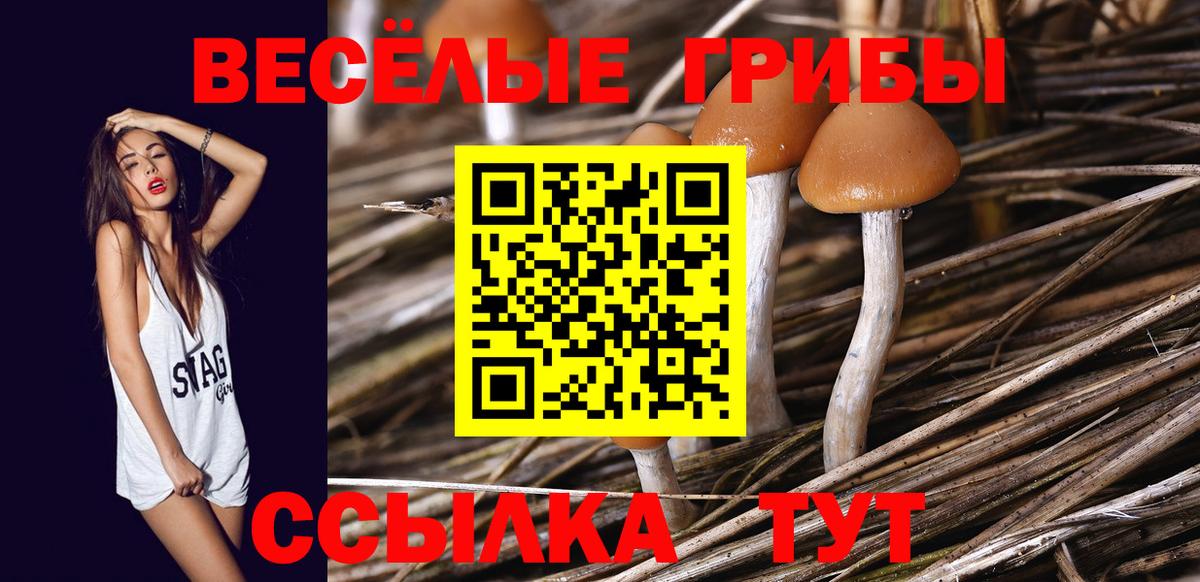 Псилоцибиновые грибы прущие грибы  Вход с VPN  Нурлат 