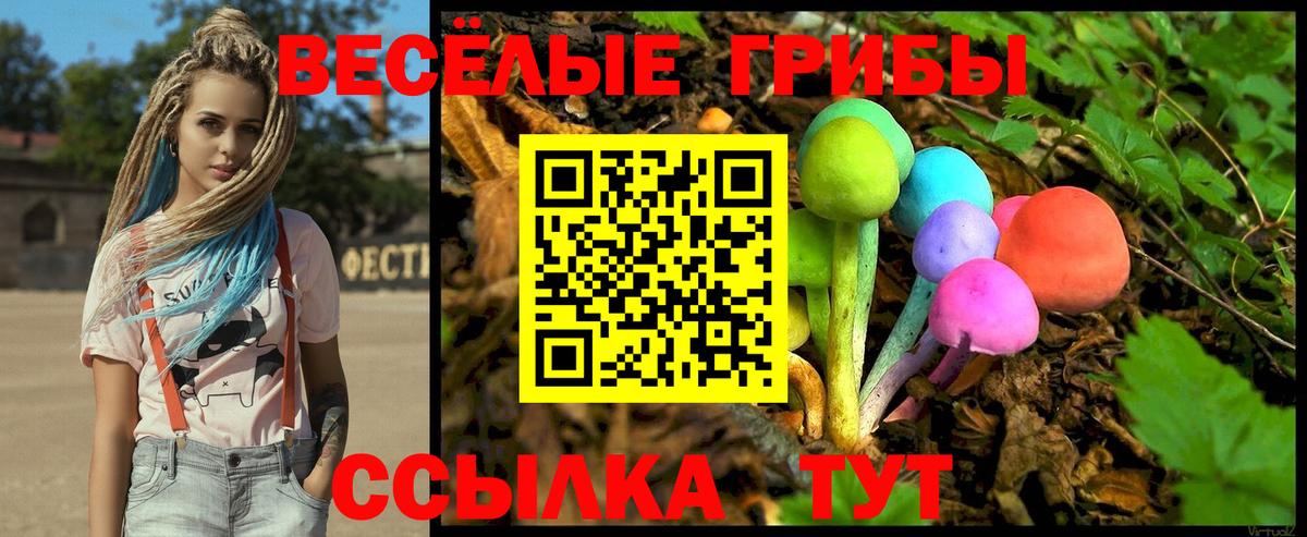 Псилоцибиновые грибы Cubensis  Нурлат  где купить   Псилоцибиновые грибы Psilocybe 